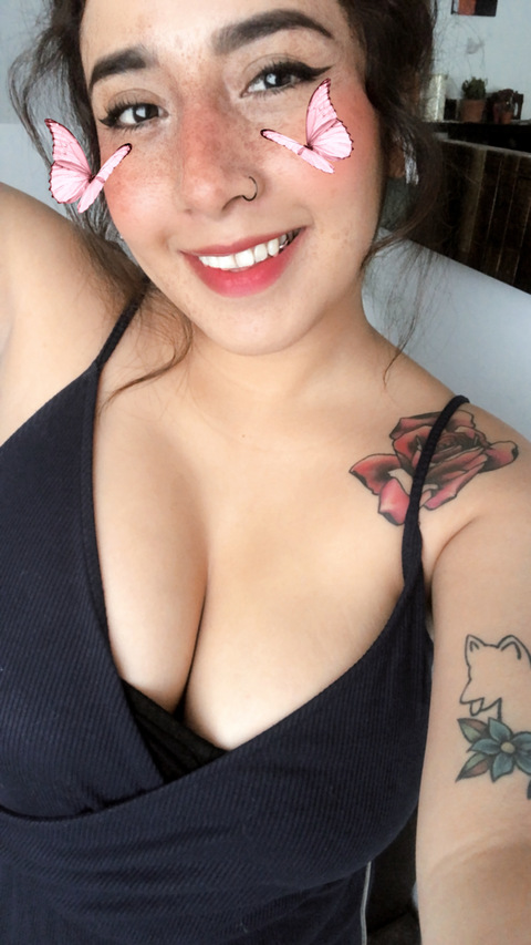 Header of sandivasquez