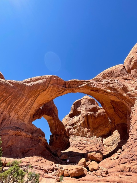 Header of sandy_cheeks143