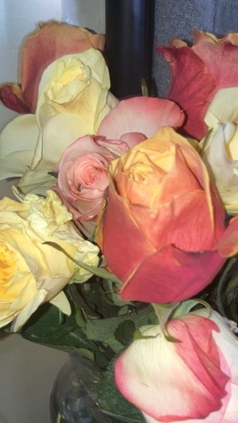 Header of satansnkylnk