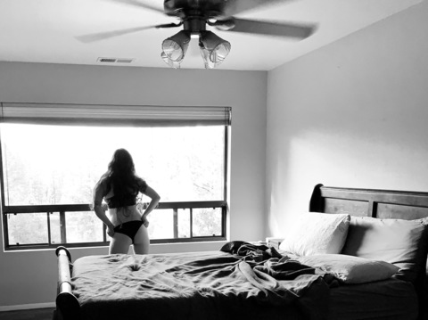 Header of scarlettacacia