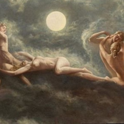 Header of selenealexander