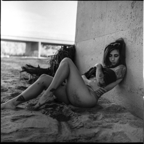 Header of sentientbees2