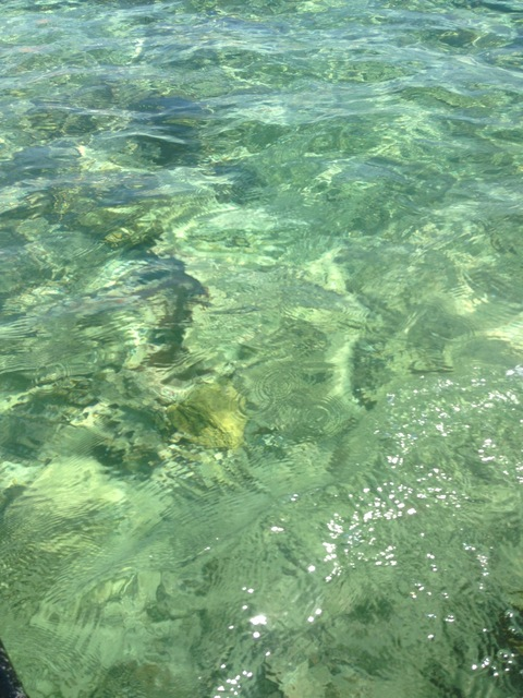 Header of sexyspicyginger