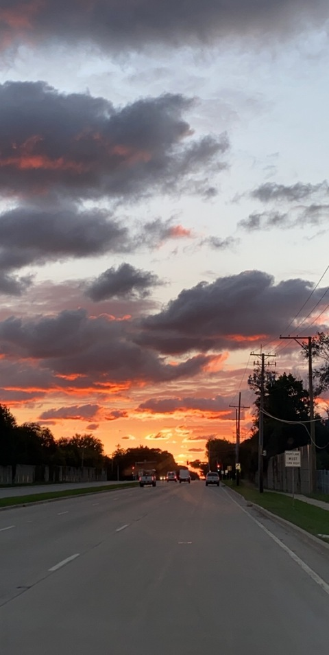 Header of shannyshan81