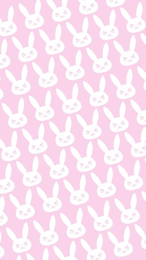 Header of sharebunny