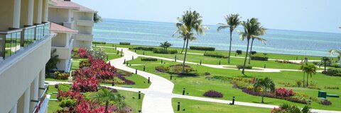 Header of shaylabobala