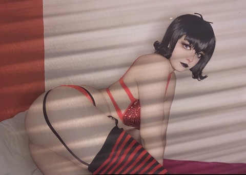 Header of shiinukicos