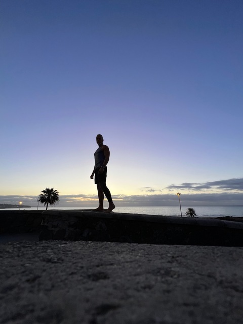 Header of silverfoxbln