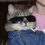 sinfulclown OnlyFans Leaked 

 profile picture