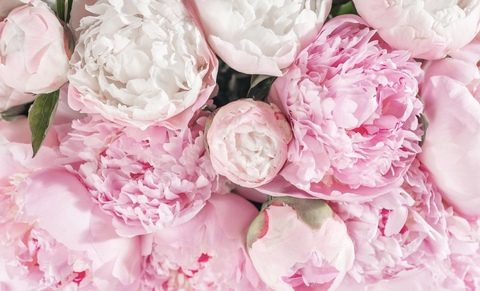 Header of siobhanierose