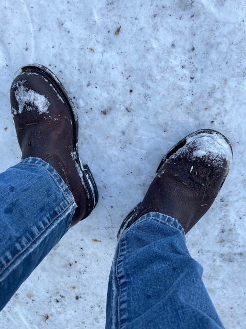 Header of sirmilo420