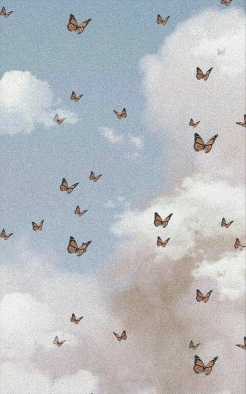 Header of sofibaby01