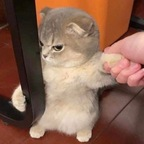 (๑˃̵ᴗ˂̵)♡ sojubabyy Leak OnlyFans 

 profile picture