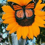 solcitok OnlyFans Leaks 

 profile picture