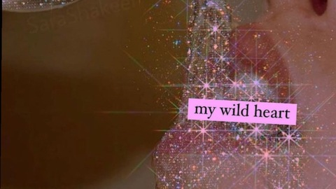 Header of solexappeal