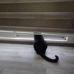 sony_bb (Sony bb) free OnlyFans Leaked Videos and Pictures 

 profile picture