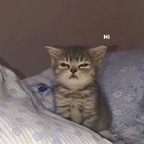 Onlyfans leak sophia.trjk 

 profile picture