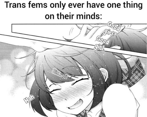 Header of sophianoire