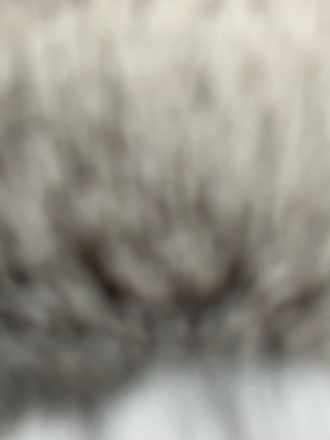 Header of sorgeporge