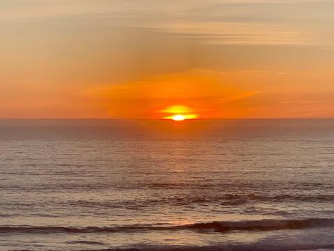 Header of st0neyw0lf