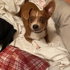 Free access to (starpowwa) Leaked OnlyFans 

 profile picture