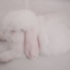 bunni (starry) Leak OnlyFans 

 profile picture