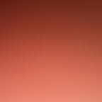 Download steamedcustardbun OnlyFans leaks for free 

 profile picture