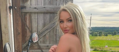 Header of stellainwonderland