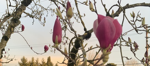 Header of stephanie_3hk