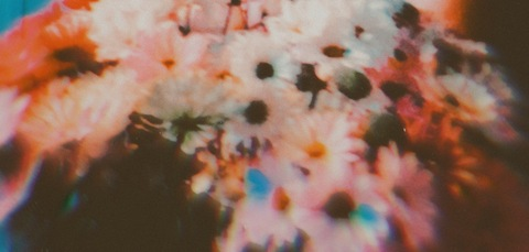 Header of steviexneil