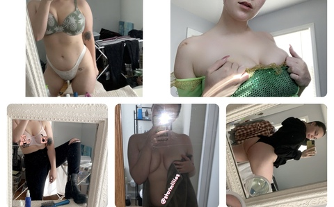 Header of stormdaisies