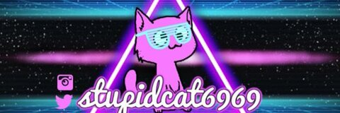 Header of stupidcat6969
