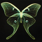 Download stvbbxrn OnlyFans content for free 

 profile picture