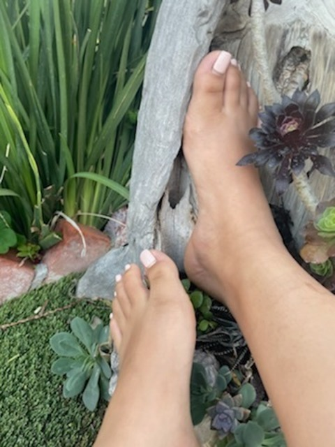 Header of sunandseam