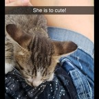 sunnyfarm (Sunflower) free OnlyFans content 

 profile picture