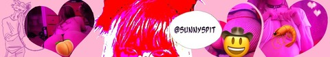 Header of sunnyspit