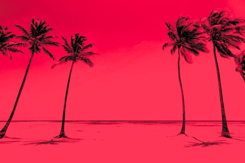 Header of supremexathlete