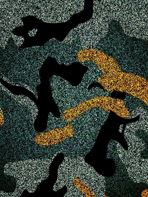 Header of sweetkisses0