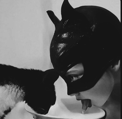 Header of sweetkittyg