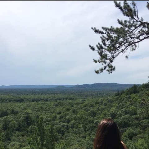 Header of sweetness4593