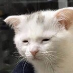 Onlyfans leaked switchy-witchy 

 profile picture