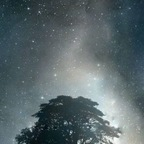 Onlyfans leaks synesir 

 profile picture