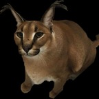 Download tacticake OnlyFans videos and photos for free 

 profile picture