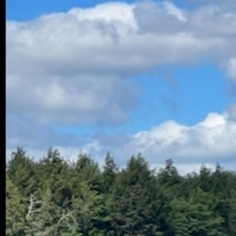 Header of tadams020