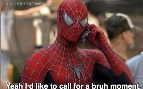 Header of tamariomartin