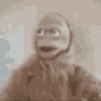 tarzann OnlyFans Leaked 

 profile picture