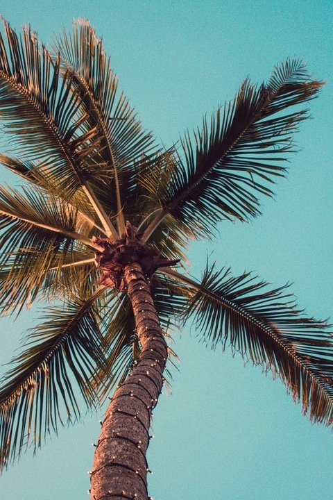 Header of tastybaycon