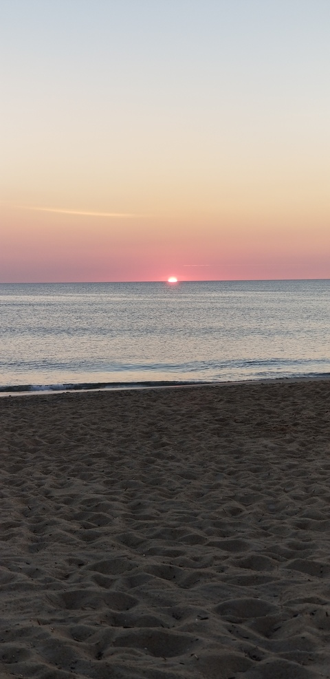 Header of tattoodfreakva