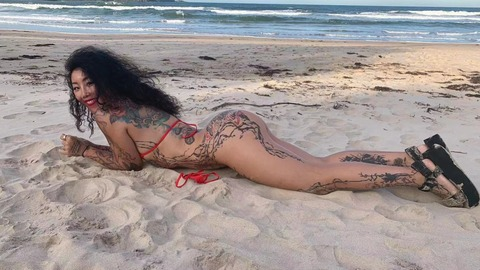 Header of taylagrayy