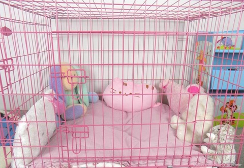 Header of tenshirachel